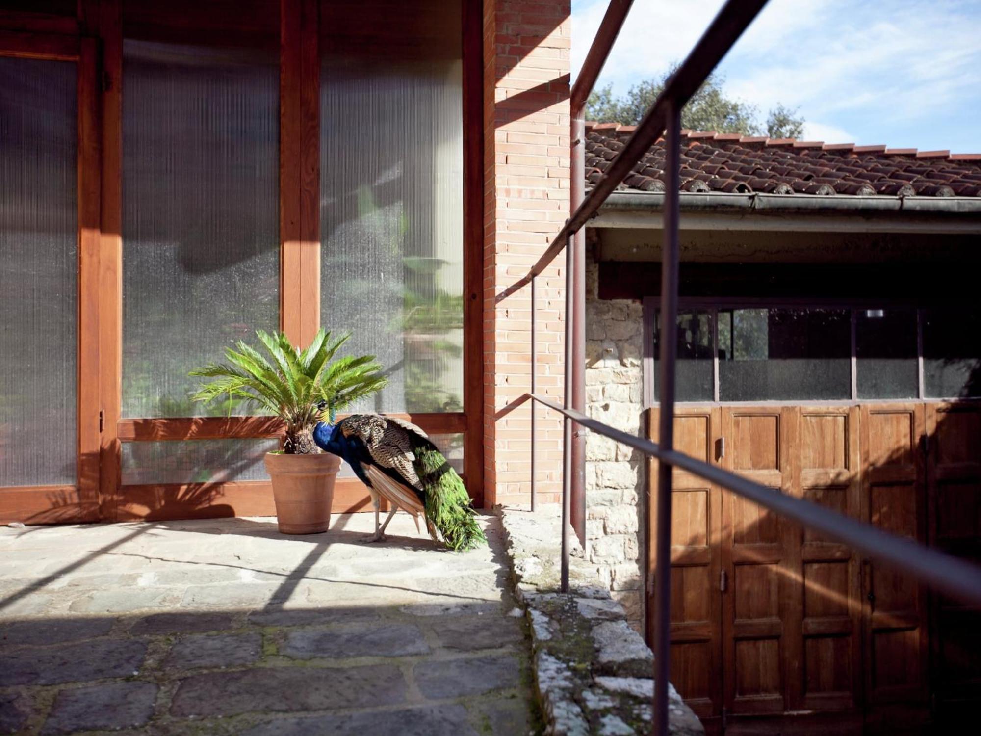 Pleasant Apartment With Swimming Pool Garden Bbq Parking Lucolena in Chianti Buitenkant foto