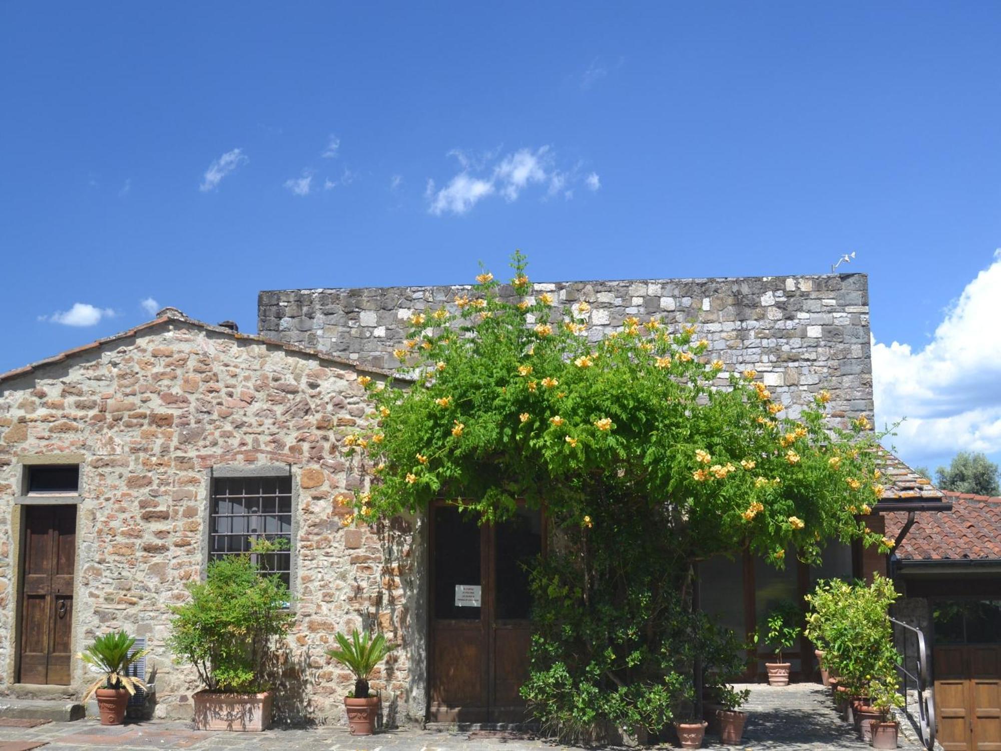 Pleasant Apartment With Swimming Pool Garden Bbq Parking Lucolena in Chianti Buitenkant foto